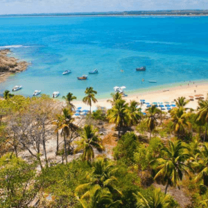 Passeio Ilha de Santo Aleixo